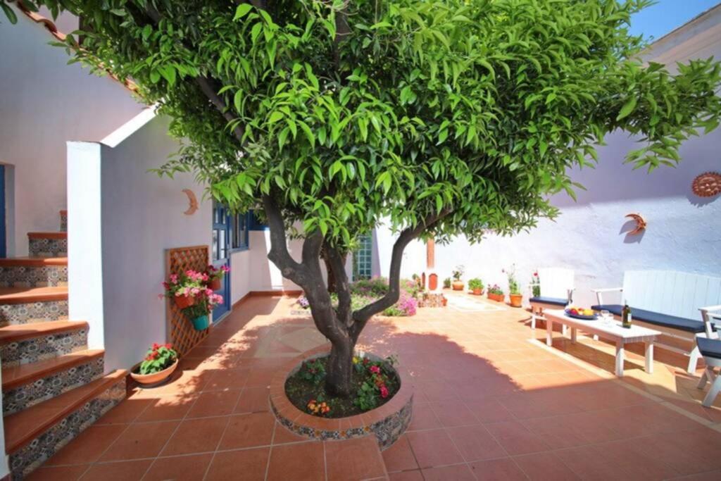 Philoxenia Guest House Skopelos Exterior foto